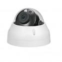 Camera IP Dome hồng ngoại 4.0 MP DAHUA DS2431RDIP-S2