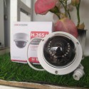 Camera IP 2MP Bán Cầu Hikvision DS-2CD2121G0-I